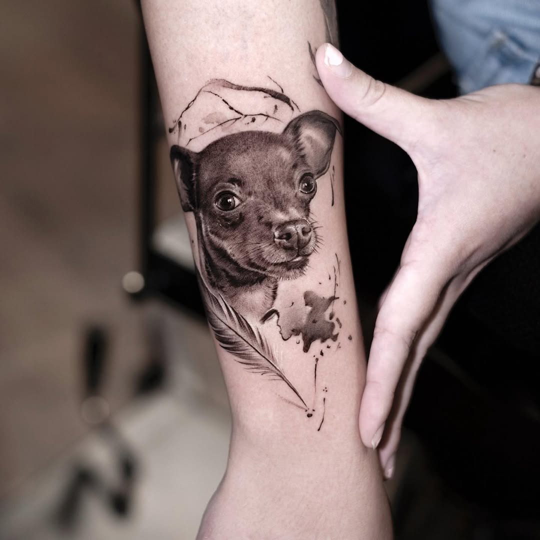 Animal