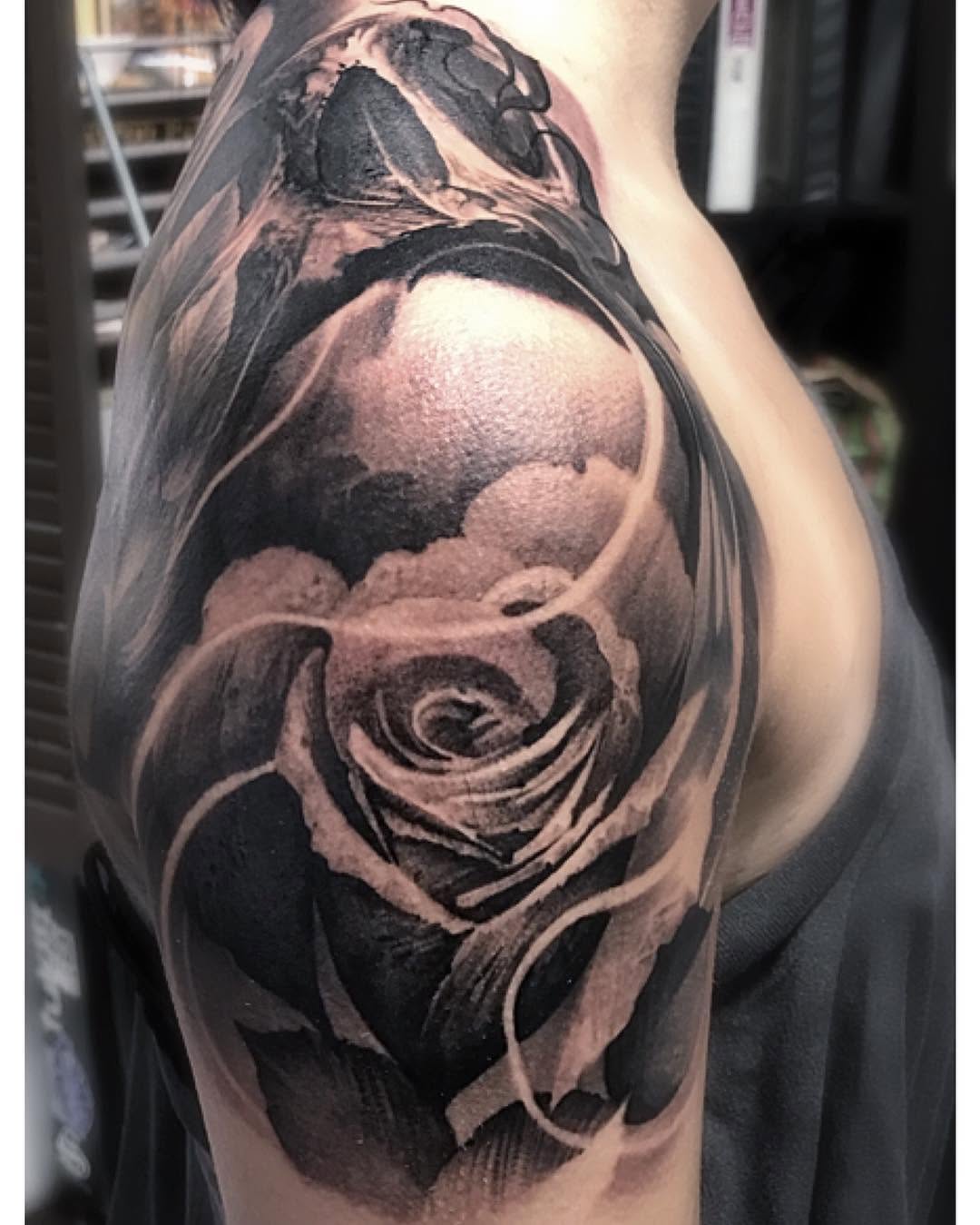 Flower, Rose, Nature