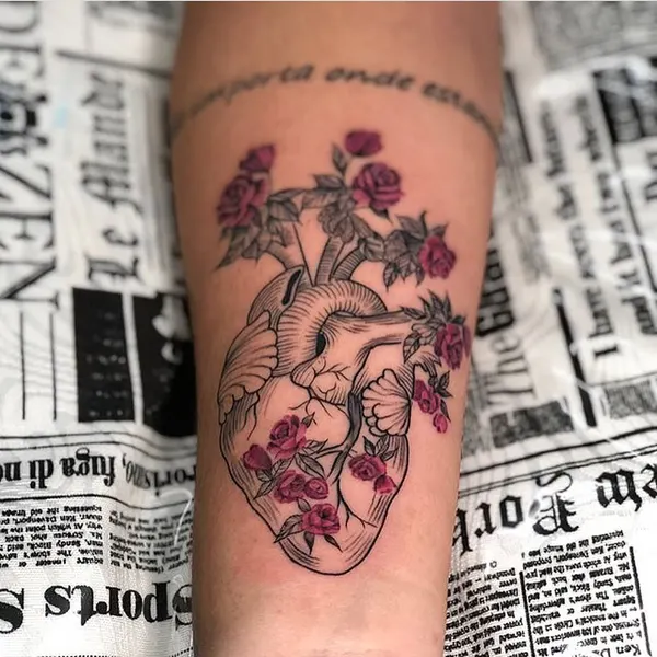 Rose, Flower