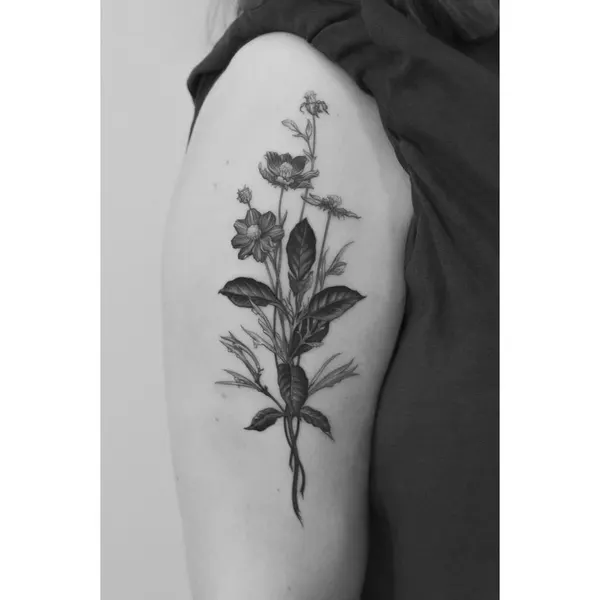 Flower, Rose, Nature