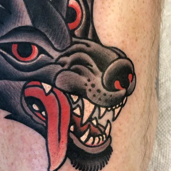Tiger, Animal
