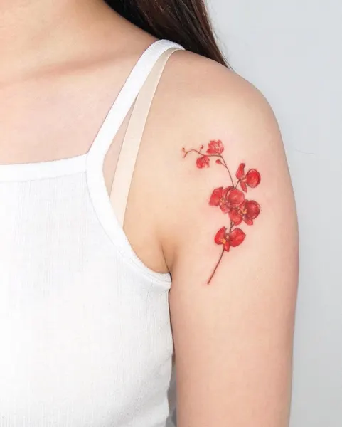 Flower, 양귀비, 체리