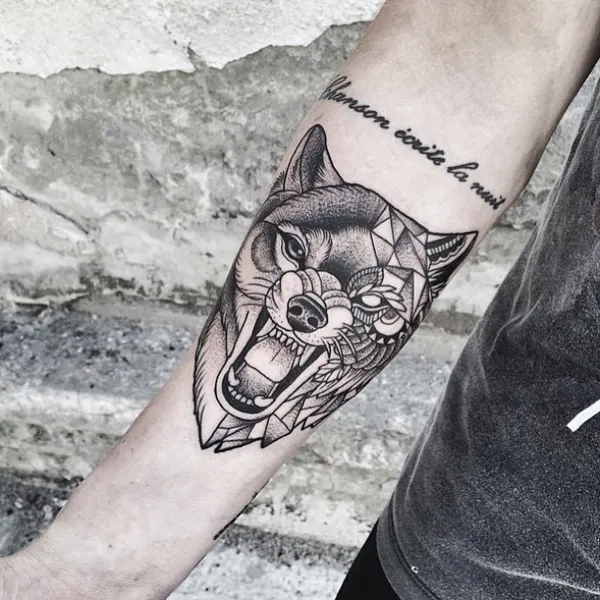 Animal, Tiger
