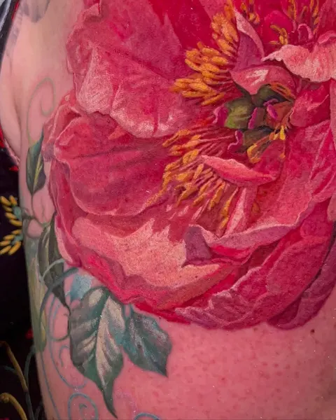 Flower, Rose