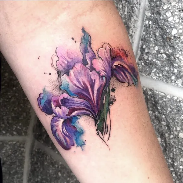 Flower, 아이리스, 백합, 튤립