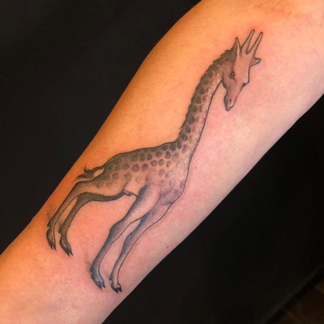 Animal