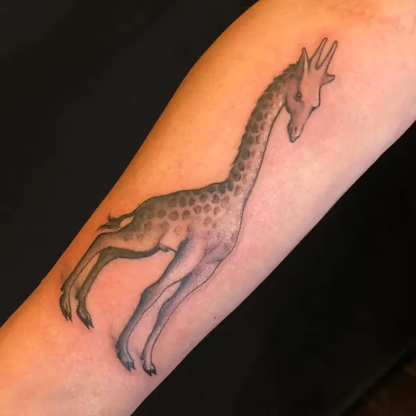 Animal