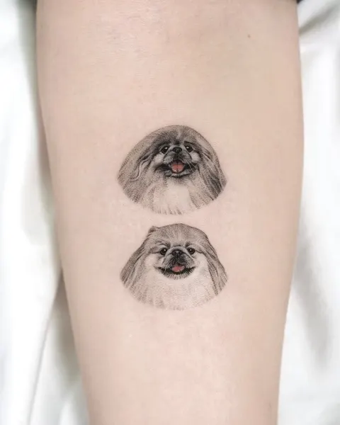 고양이