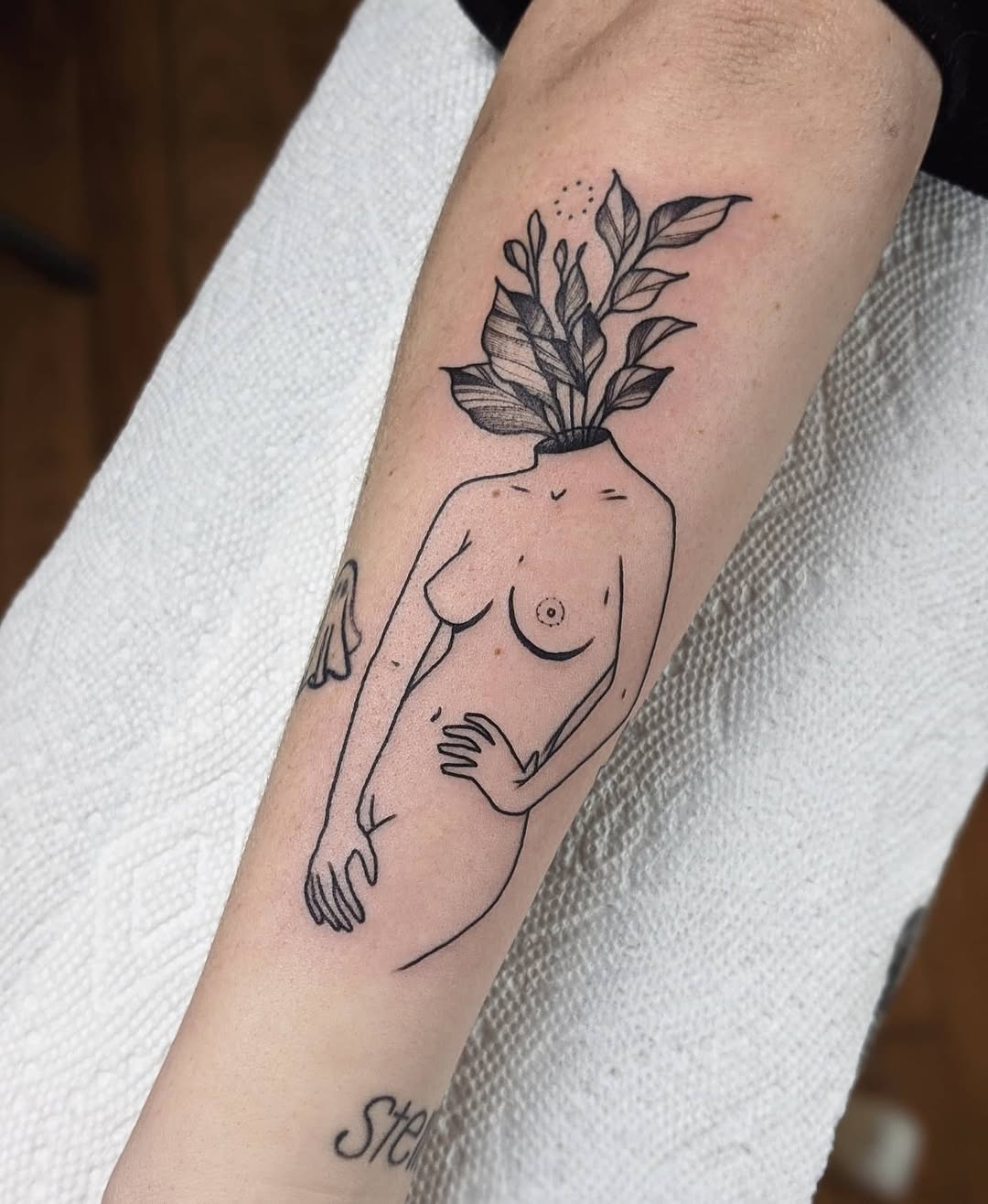 Flower, Rose, 올리브 가지