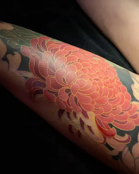 Flower, Rose, 일본 단풍