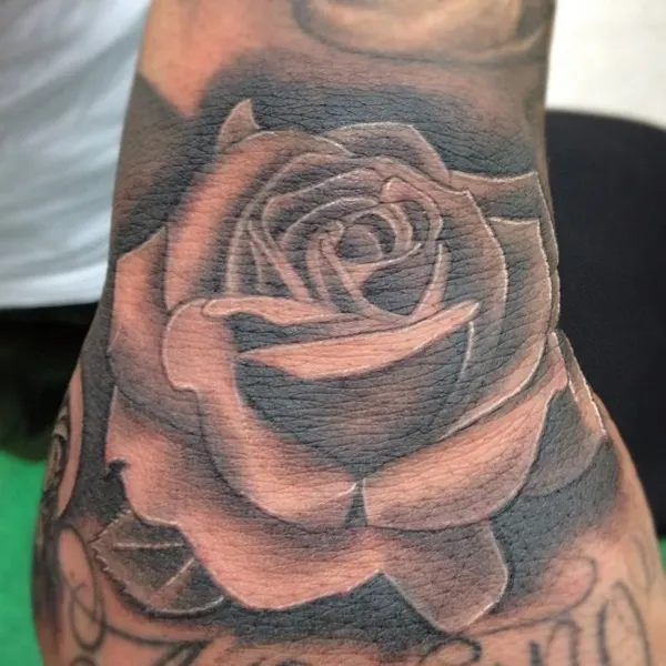 Flower, Rose