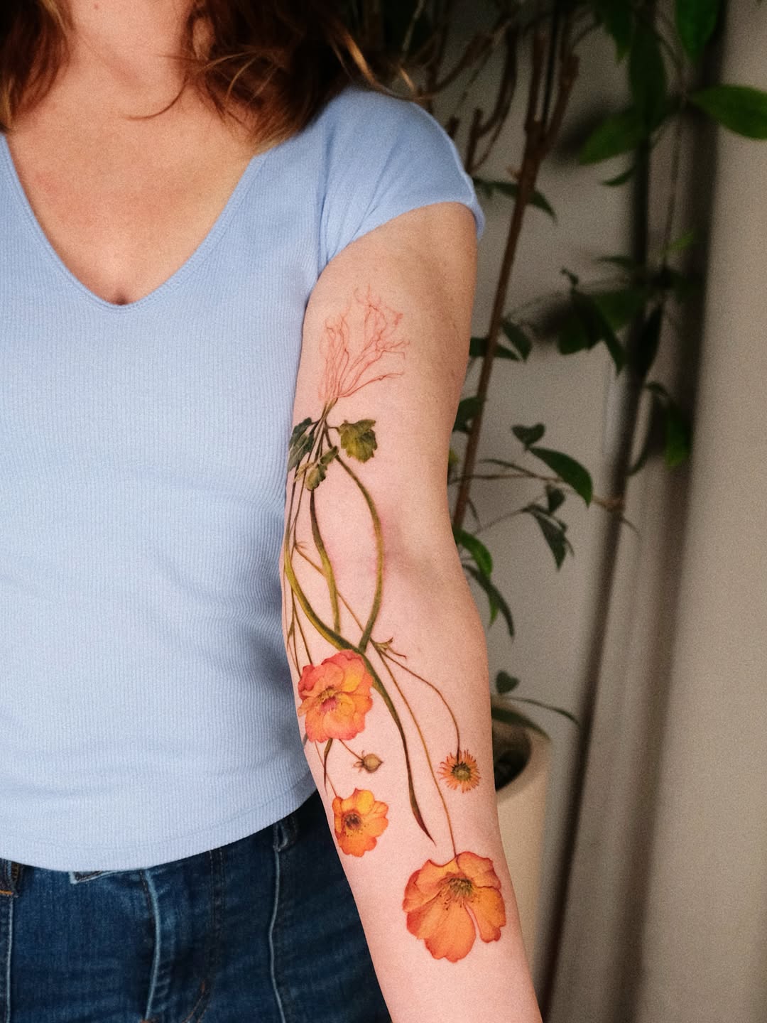 Flower, Rose