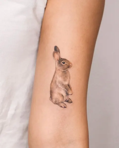 Animal, 쥐, 토끼, 다람쥐