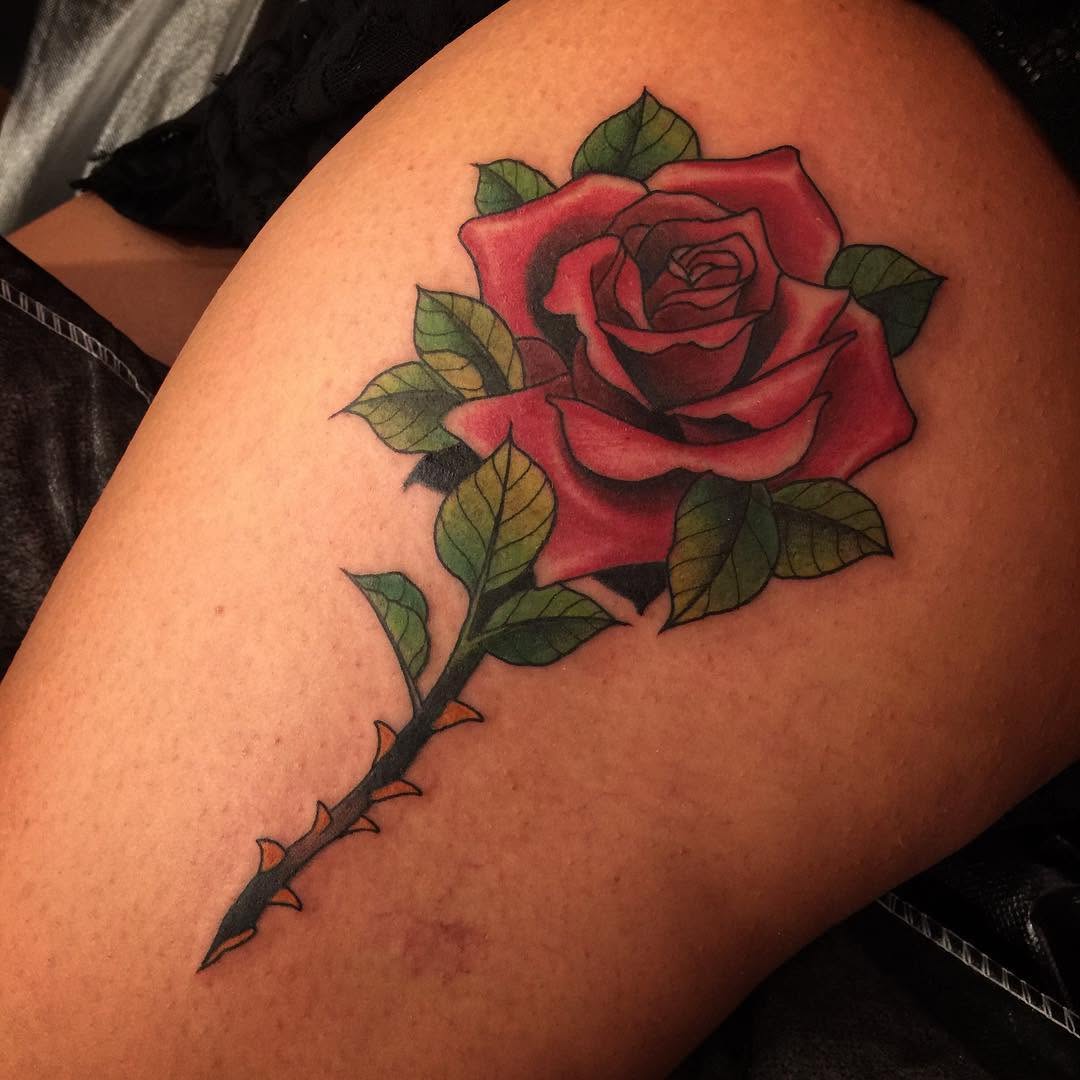 Flower, Rose, Nature