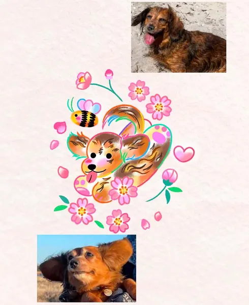Animal