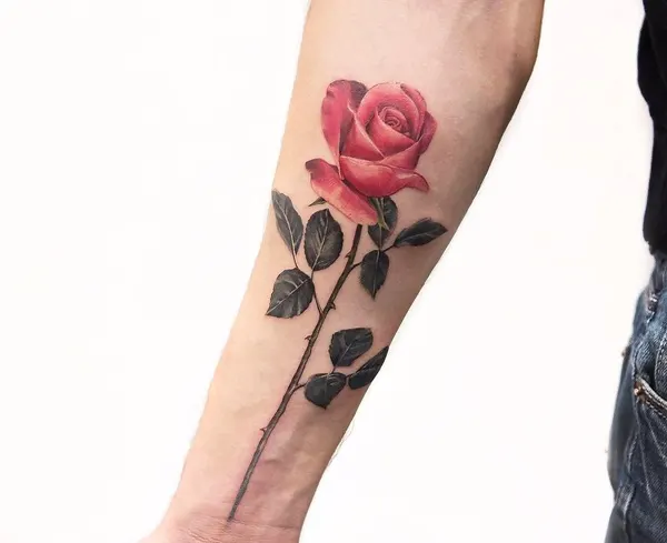 Flower, Rose