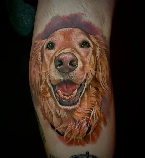 Animal