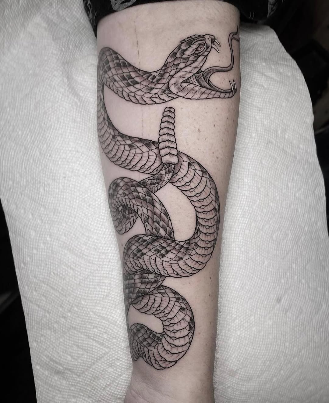 Dragon, 지네