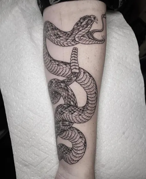 Dragon, 지네