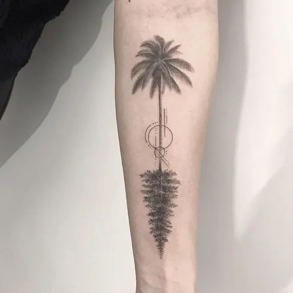 해변, 야자수