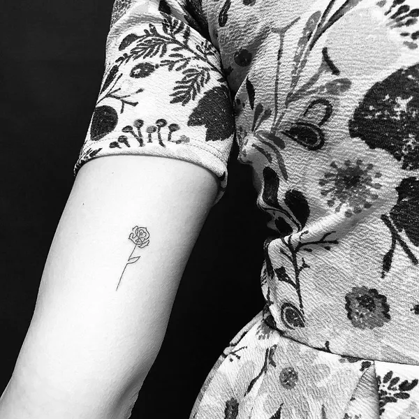 Flower, Rose
