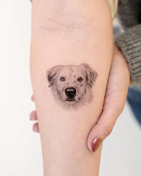 Animal, 강아지, 반려동물