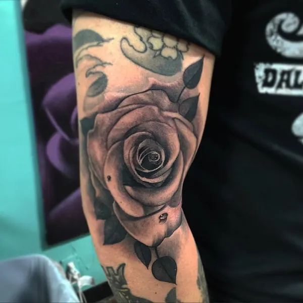 Flower, Rose
