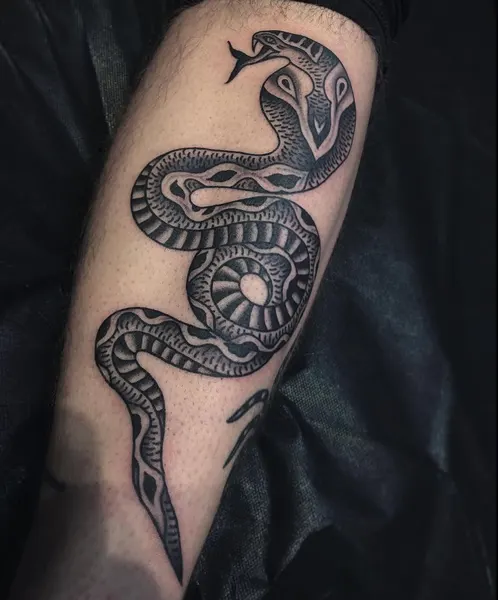 Dragon, Snake