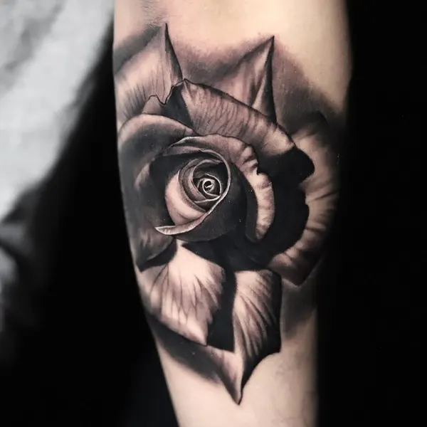 Flower, Rose