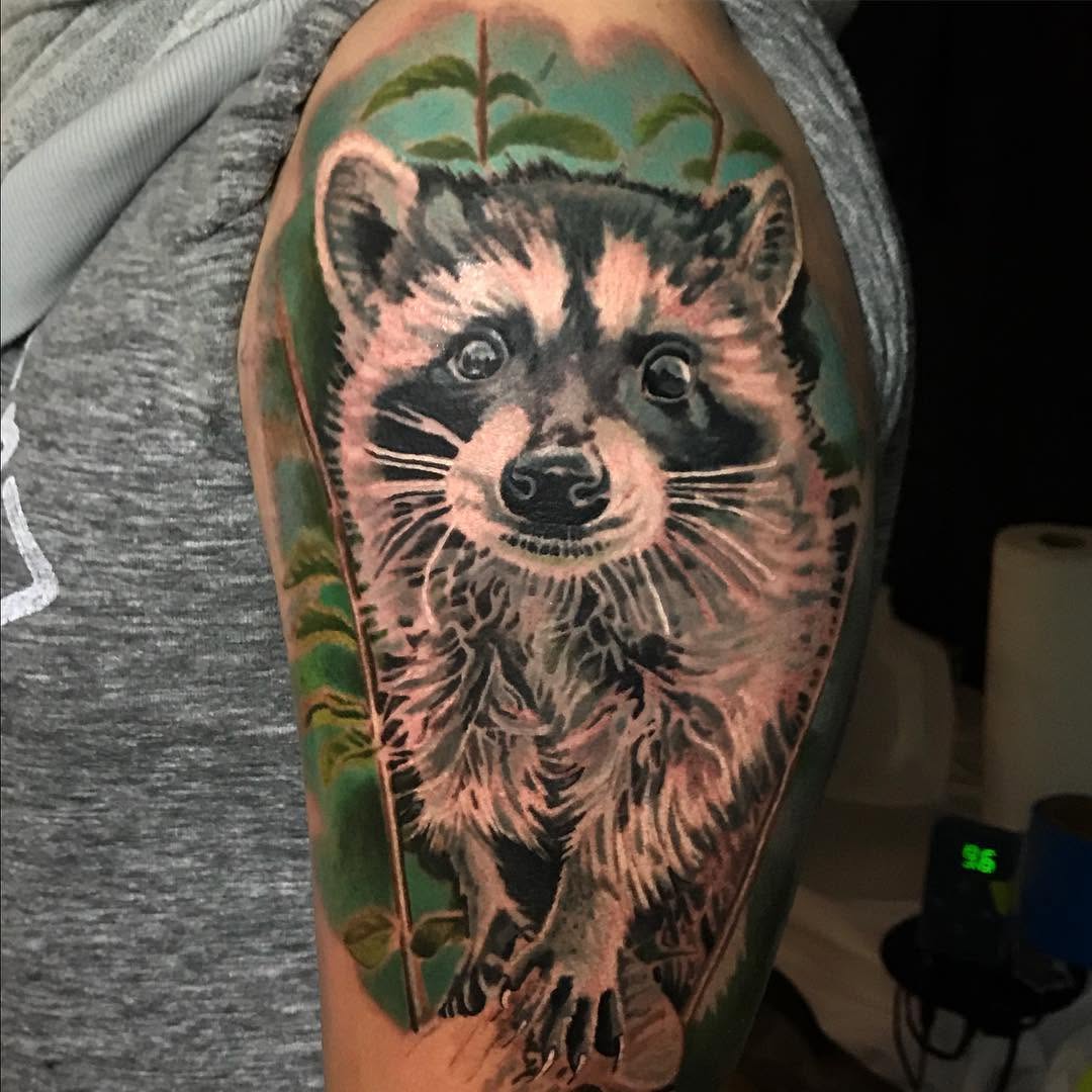 Animal, 판다, 너구리, 고슴도치