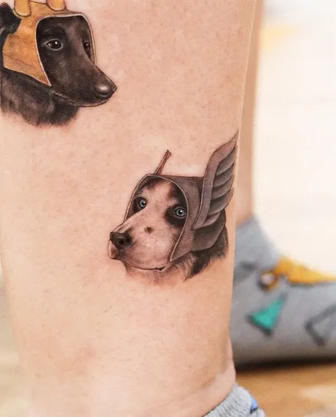 양, Animal, 염소