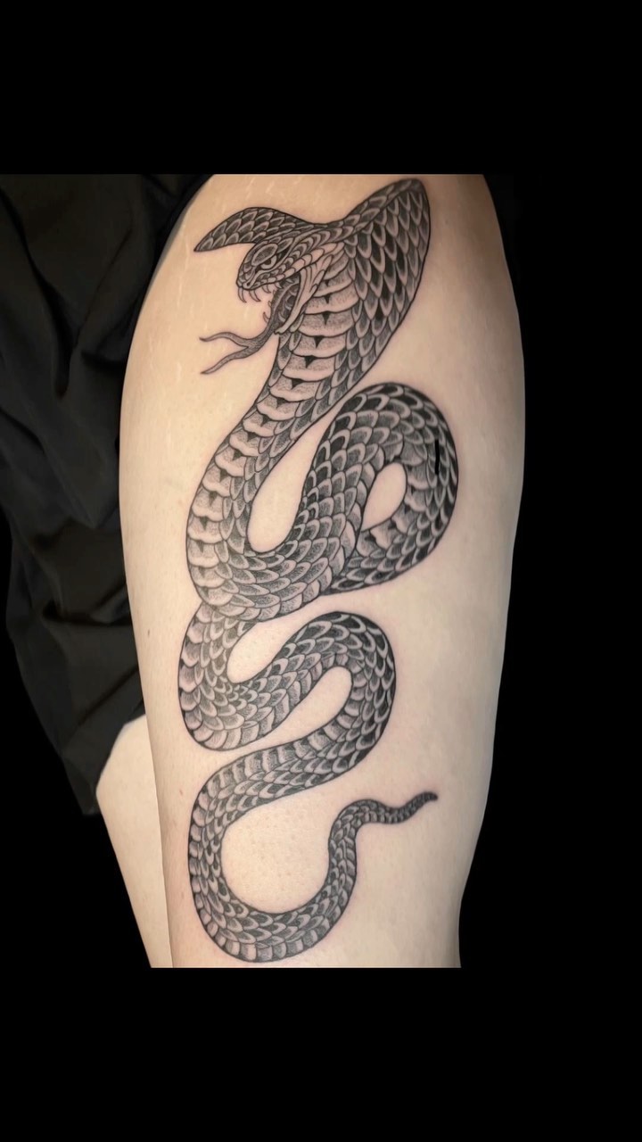 Dragon, Snake