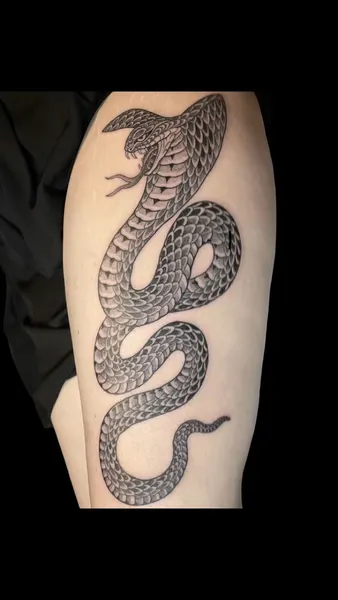 Dragon, Snake
