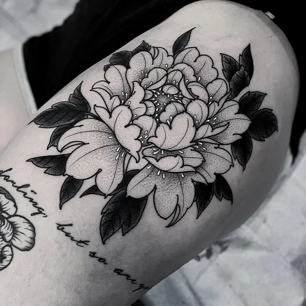 Flower, Rose