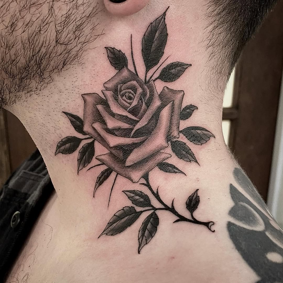 Flower, Rose, Nature