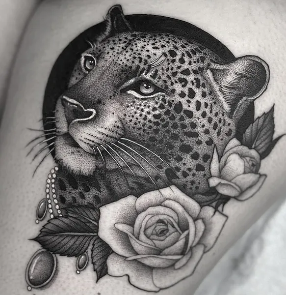 Animal, 표범, 재규어