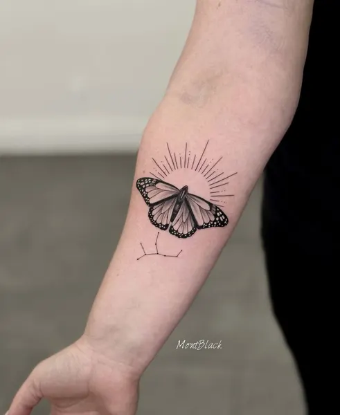 Animal, Nature, 나방, 매미