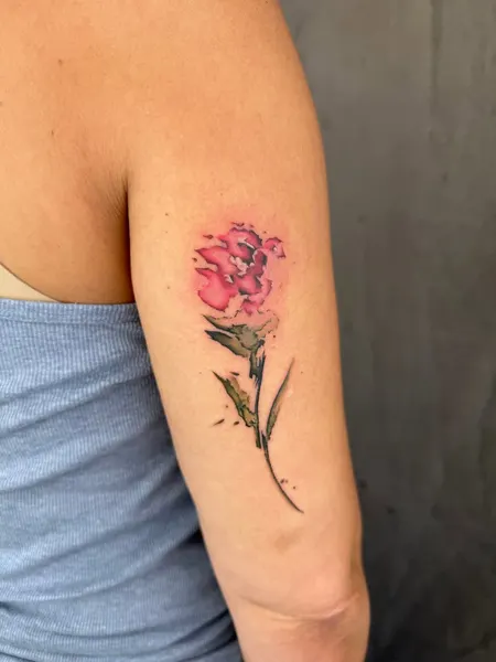 Flower, Rose