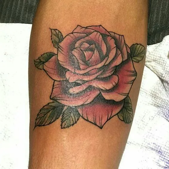 Flower, Rose