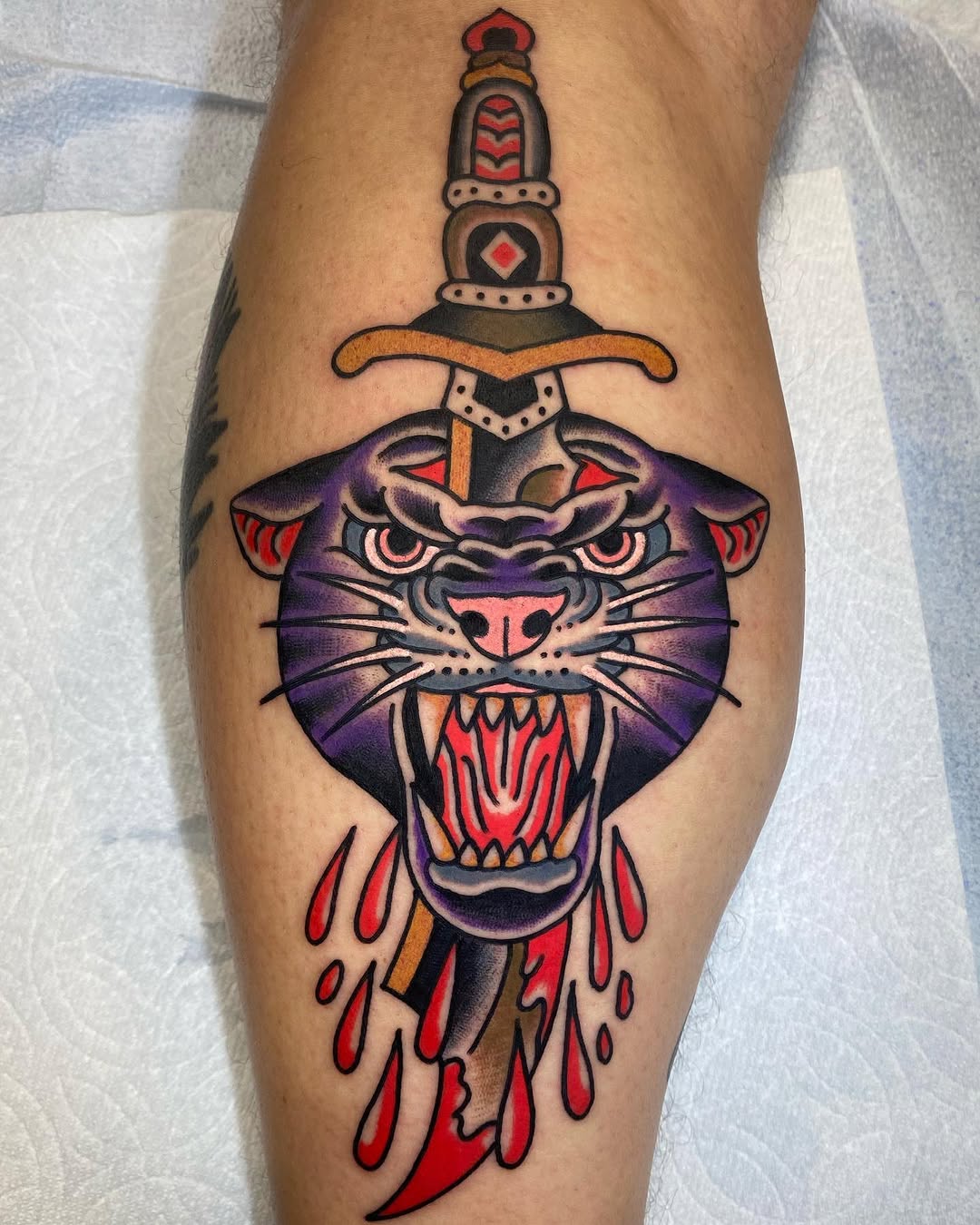 Animal, Tiger
