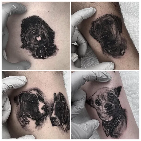 Animal, 수묵화