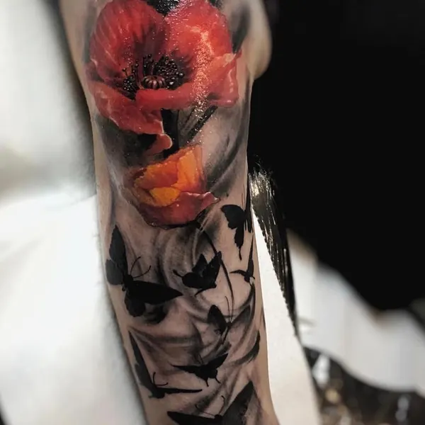 Flower, Rose, 사과