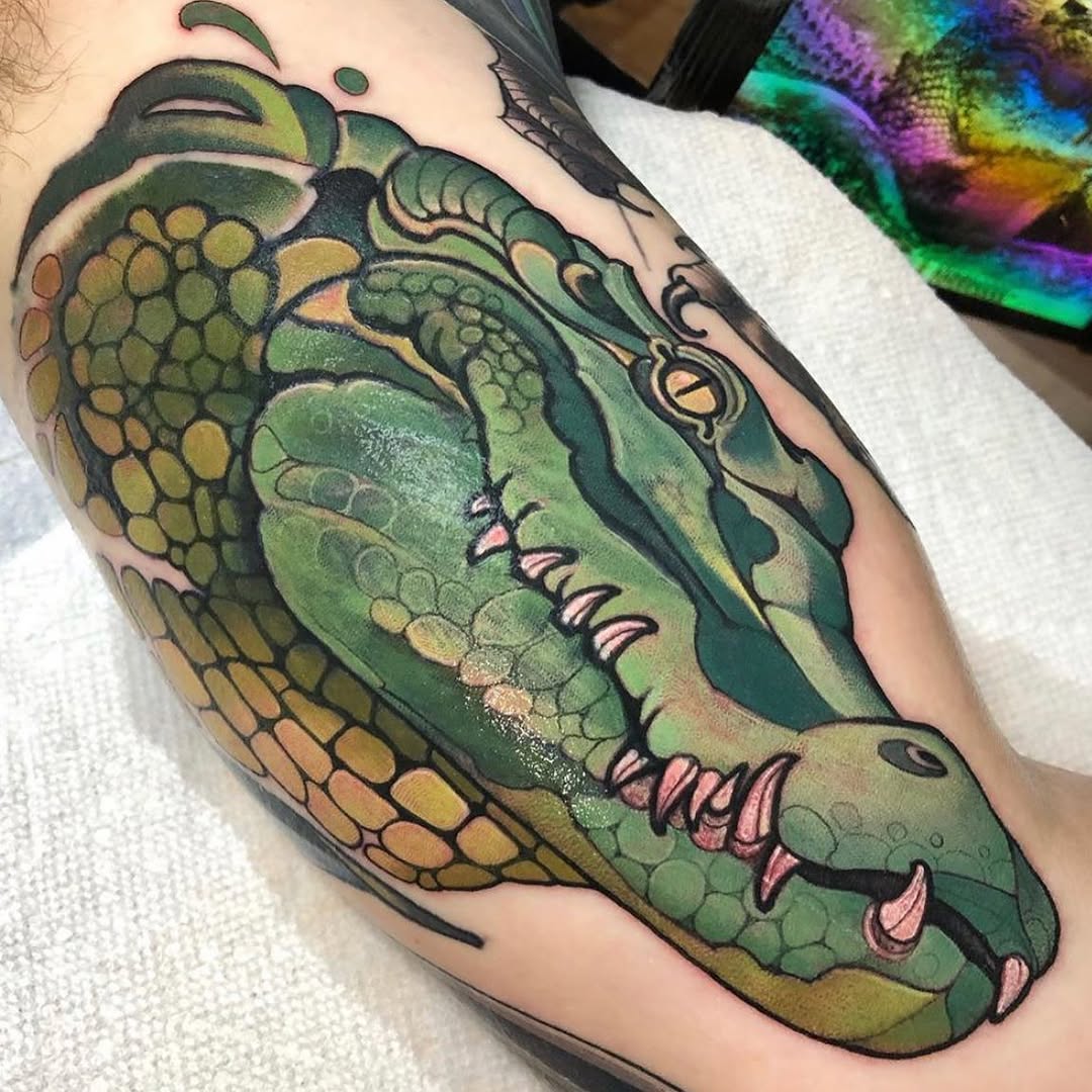 Dragon, 악어