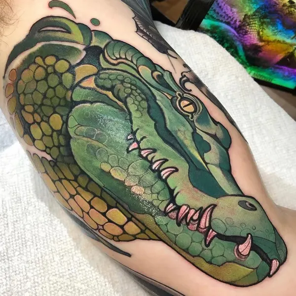 Dragon, 악어