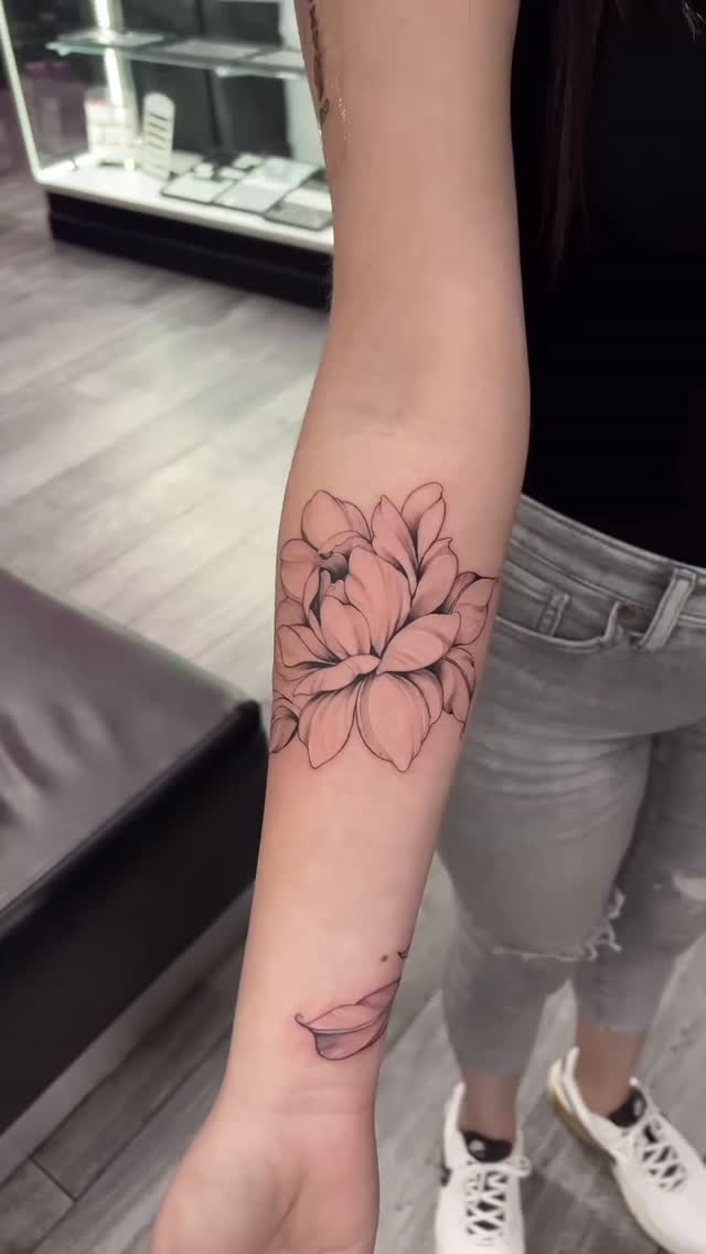 Flower, Rose, 국화, 목련
