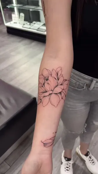 Flower, Rose, 국화, 목련