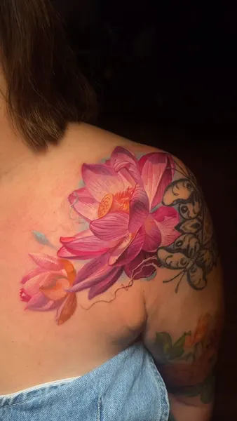 모란, Flower, Rose, 난초, 탄생화, 히비스커스, 백합, 연꽃