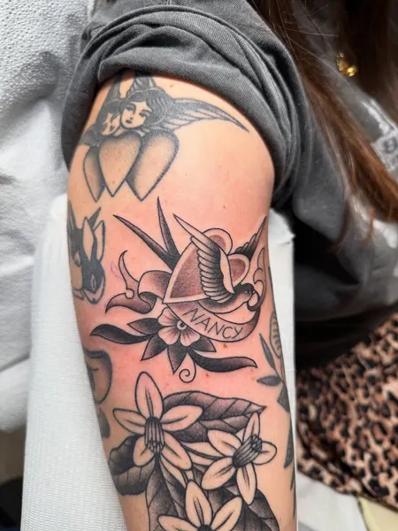 Animal, Nature, 다루마
