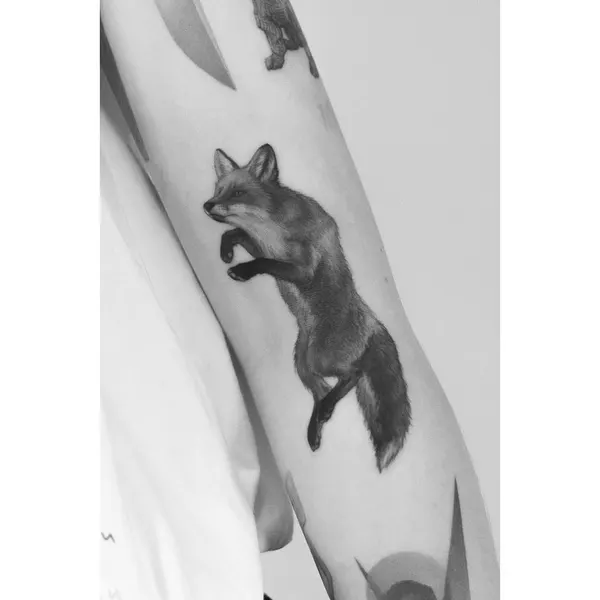 Animal, 여우