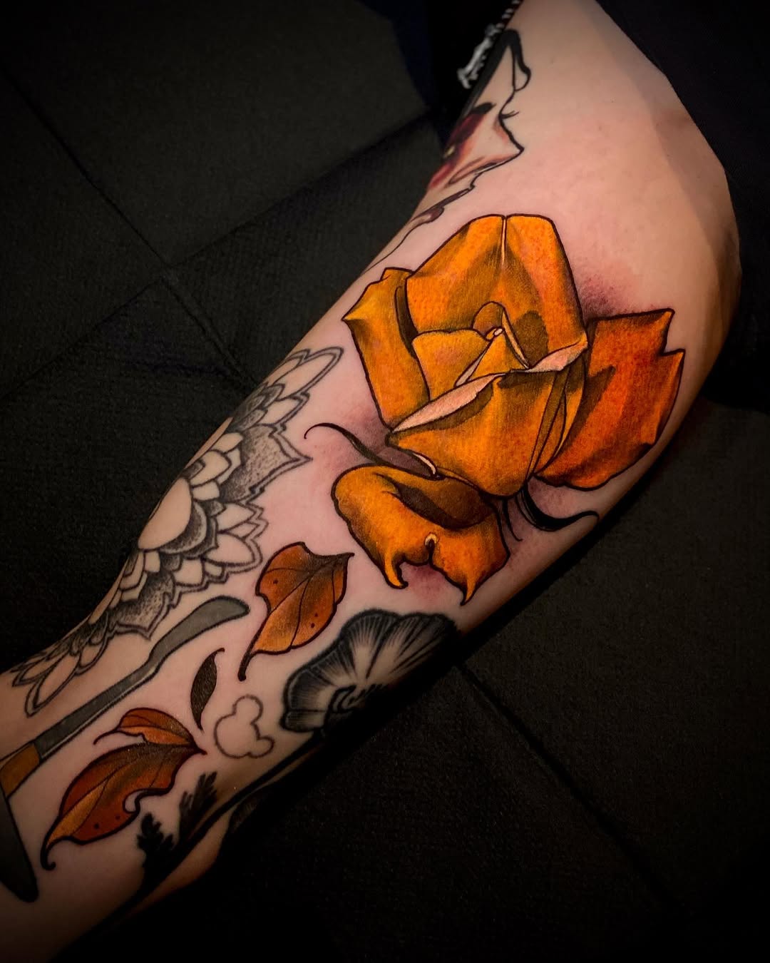 Flower, Rose